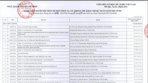 TP. Hồ Chí Minh: Nhiều doanh nghiệp bất động sản nợ thuế hàng nghìn tỷ đồng