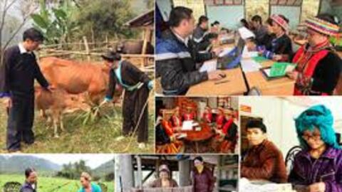 Vai trò của các Quỹ tín dụng nhân dân trong phát triển kinh tế hộ gia đình khu vực nông thôn