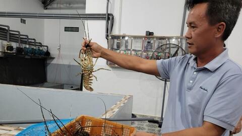 Đơn hàng gia tăng, xuất khẩu thủy sản tháng 01/2026 tăng trưởng ấn tượng