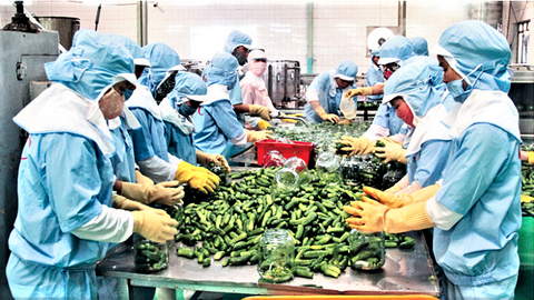 Đồng Nai khởi động khu chăn nuôi, chế biến nông sản công nghệ cao 30.500 tỷ đồng