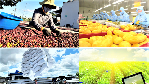 Xuất khẩu nông lâm thủy sản phục hồi mạnh mẽ, hướng tới mục tiêu 74 tỷ USD năm 2026