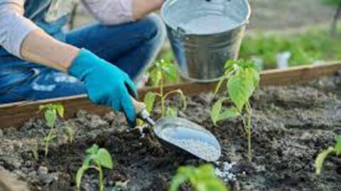 Kiểm soát giá phân bón, giảm chi phí sản xuất cho nông nghiệp