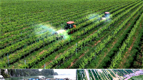 Phát triển nông nghiệp: ưu tiên nâng cao hiệu quả thay vì mở rộng quy mô