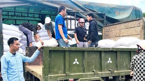 Hỗ trợ hơn 936 tấn gạo dự trữ quốc gia cho người dân tham gia bảo vệ rừng