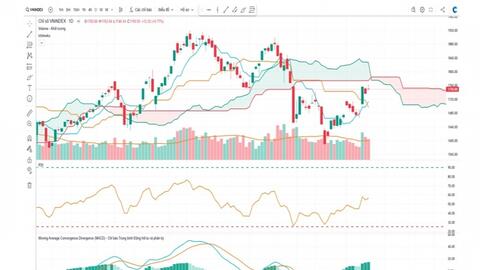 VN-Index trước ngưỡng 1750 điểm: Giằng co tích lũy, củng cố kịch bản lên 1.800+