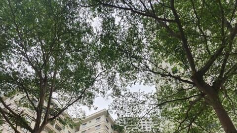 Hà Nội giám sát tiến độ triển khai nhà ở xã hội, nhà tái định cư