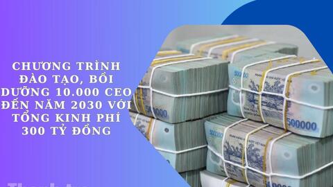 Đề xuất cơ chế triển khai Chương trình đào tạo 10.000 CEO đến năm 2030