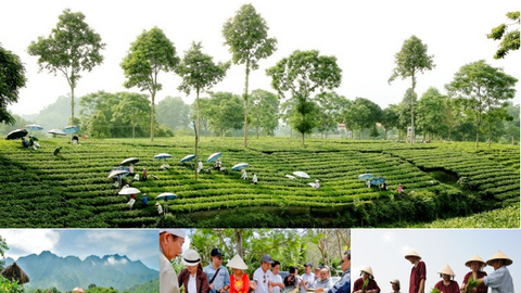 Du lịch nông thôn đẩy mạnh số hóa, tạo động lực phát triển kinh tế nông thôn