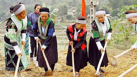 Phấn đấu tăng thu nhập bình quân của người dân tộc thiểu số
