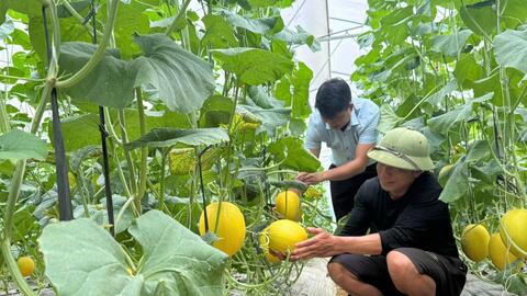 Tạo động lực mới cho phát triển nông thôn, giảm nghèo bền vững ở Lai Châu