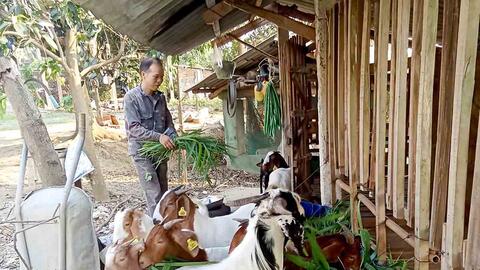Tạo sinh kế bền vững, mở đường thoát nghèo cho đồng bào vùng cao Tuyên Quang