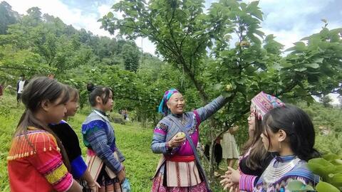 Cơ chế quản lý chương trình giảm nghèo giai đoạn mới: Trao quyền nhiều hơn, đo hiệu quả từ cuộc sống người dân