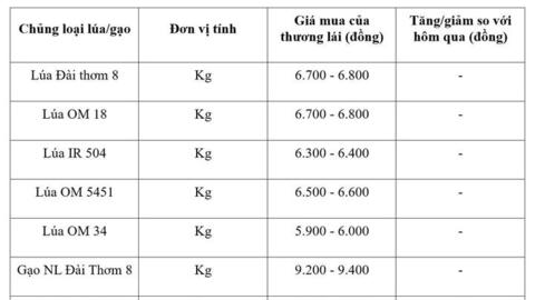 Giá lúa gạo hôm nay ngày 29/8/2026: Gạo nguyên liệu xuất khẩu giảm