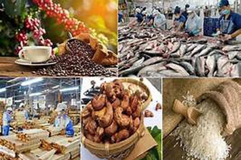 Thủ tướng chỉ đạo các biện pháp sản xuất, chế biến, tiêu thụ và xuất khẩu nông sản