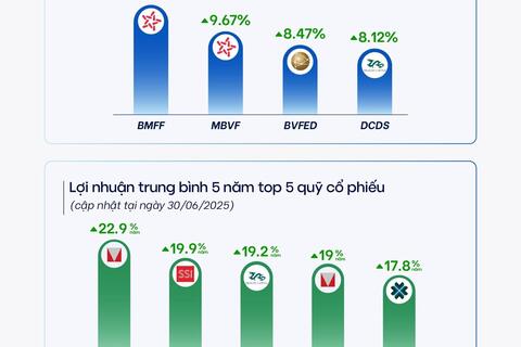 Quỹ mở "vượt sóng" nửa đầu 2025, lợi nhuận lên tới 11%
