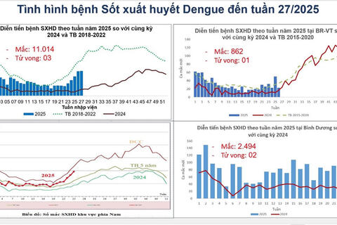 Sốt xuất huyết gia tăng báo động tại TPHCM