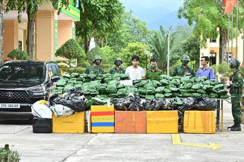 Bắt giữ đối tượng vận chuyển, tàng trữ 240kg cần sa khô