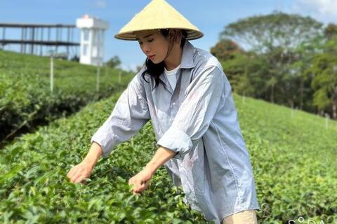 Đà Lạt hữu tình, bí ẩn hiện diện trong Góc khuất