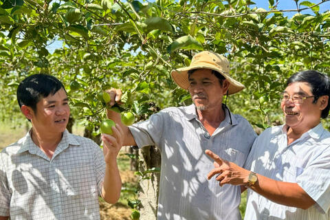 Đòn bẩy sinh kế giúp người dân Lương Sơn vươn lên khá giả