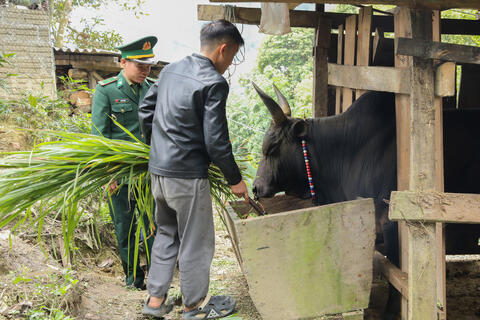 Bộ đội Biên phòng Nghệ An giữ ấm 'đầu cơ nghiệp' cho dân bản