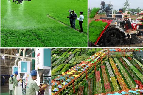 Đồng Tháp: Ưu tiên phát triển kinh tế số