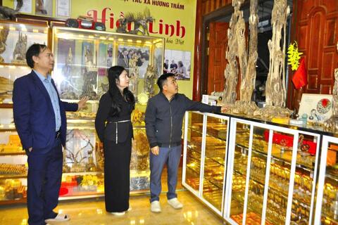 Trầm hương miền núi Hà Tĩnh, “vàng xanh” đánh thức tiềm năng kinh tế lâm nghiệp