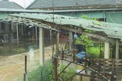 Cần đảm bảo điều kiện sinh hoạt để giáo viên yên tâm công tác