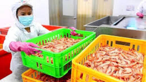 Thuế đối ứng với Mỹ: Kích hoạt đầu tư nhờ ưu đãi hàng Mỹ, hàng xuất khẩu nào hưởng lợi?