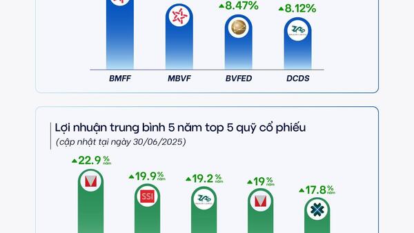 Quỹ mở "vượt sóng" nửa đầu 2025, lợi nhuận lên tới 11%