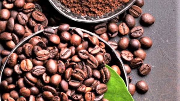 Xuất khẩu nông lâm thủy sản 11 tháng vượt kỷ lục, đạt hơn 64 tỷ USD