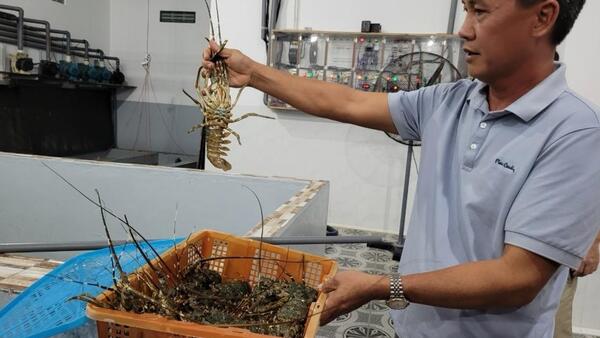 Đơn hàng gia tăng, xuất khẩu thủy sản tháng 01/2026 tăng trưởng ấn tượng