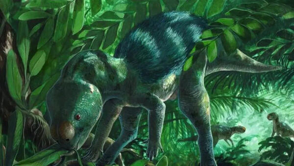 Phát hiện khủng long lấp khoảng trống tiến hóa 70 triệu năm
