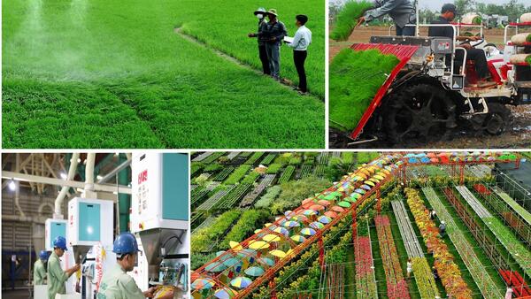 Đồng Tháp: Ưu tiên phát triển kinh tế số