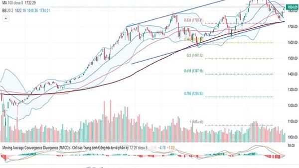 VN-Index trở lại sau Tết, chờ tín hiệu vượt SMA20