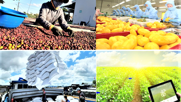 Xuất khẩu nông lâm thủy sản phục hồi mạnh mẽ, hướng tới mục tiêu 74 tỷ USD năm 2026