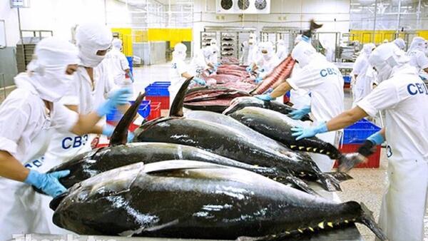 Thủy sản Việt Nam ứng phó ra sao khi xuất khẩu vào Trung Đông?