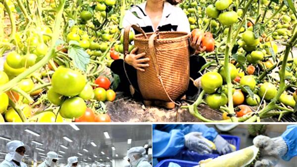 Thúc đẩy mở cửa thị trường các mặt hàng nông thủy sản có thế mạnh