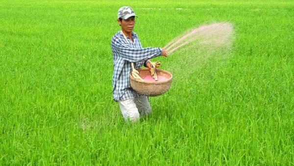 Bộ Tài chính lý giải việc duy trì thuế xuất khẩu 5% đối với phân bón urea, supe lân