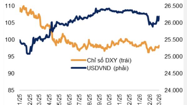 Áp lực tỷ giá ngắn hạn tăng lên, nền tảng vĩ mô vẫn mở dư địa ổn định