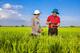 Tín dụng xanh Agribank góp phần hiện thực hóa mục tiêu phát triển bền vững của quốc gia