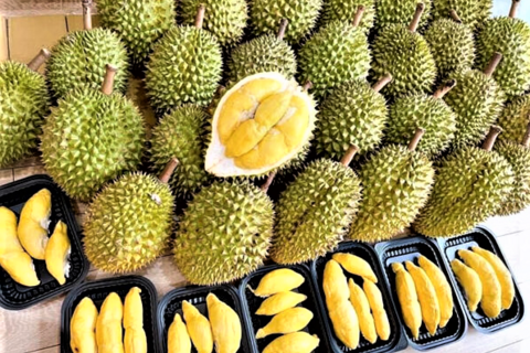 TP. Cần Thơ mở rộng vùng cây ăn trái chủ lực, góp phần nâng cao thu nhập cho nông dân