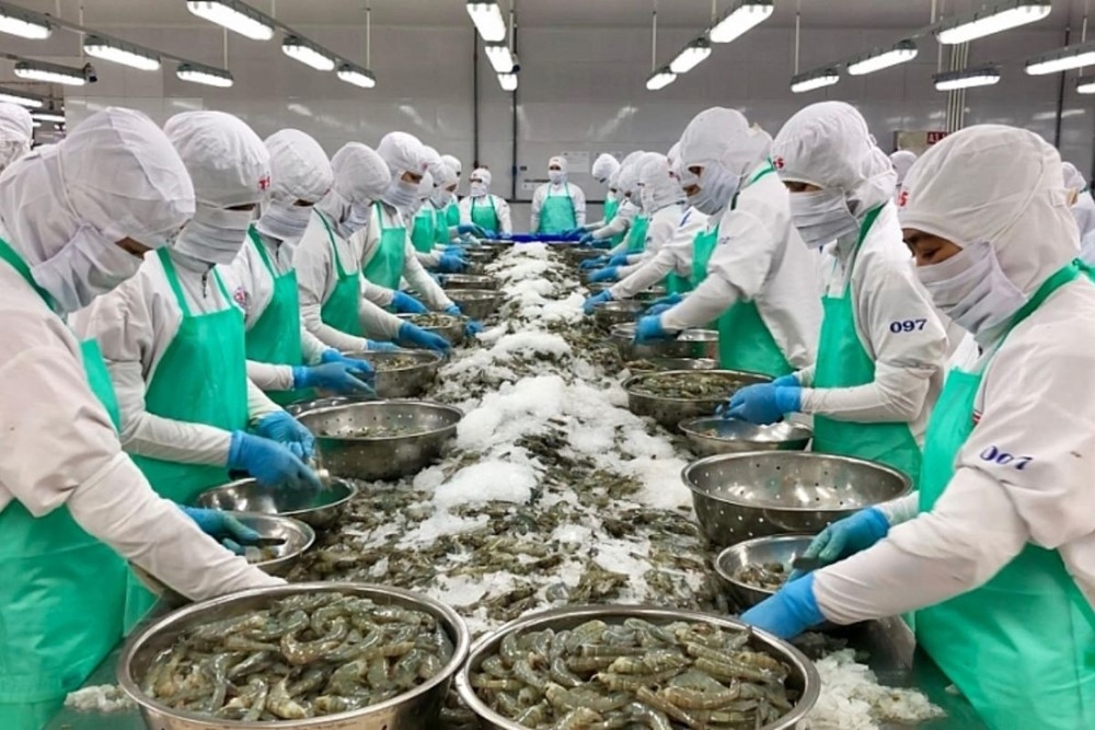 Ngành tôm tái cấu trúc chuỗi giá trị