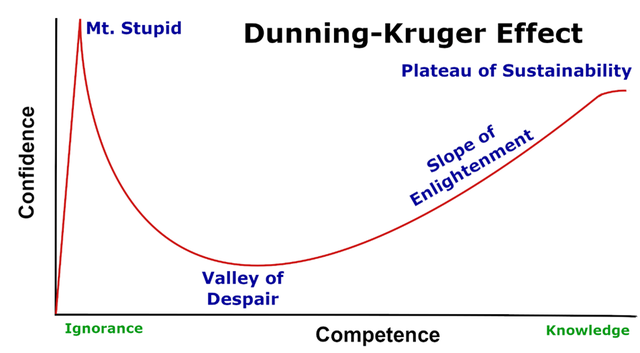 Hiệu ứng Dunning & Kruger và bài học kinh điển trong đầu tư chứng khoán từ các F0 - Ảnh 1.