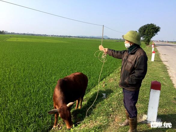 Đất đấu giá ở nông thôn ‘cao ngất ngưỡng’ khiến người dân sửng sốt - Ảnh 2.