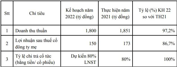 Đại lý Vận tải SAFI (SFI) đặt kế hoạch lợi nhuận giảm 13%, dự kiến trả cổ tức tỷ lệ 80% - Ảnh 1.