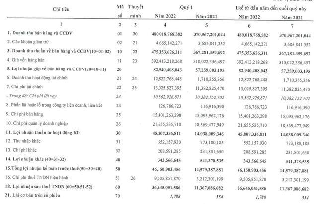 Hanosimex (HSM): Quý 1 lãi 47 tỷ đồng cao gấp 3 lần cùng kỳ - Ảnh 1.