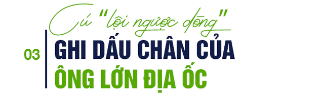 Nghịch lý bất động sản Sài Gòn: Vùng ven đón biệt thự triệu đô - Ảnh 6.