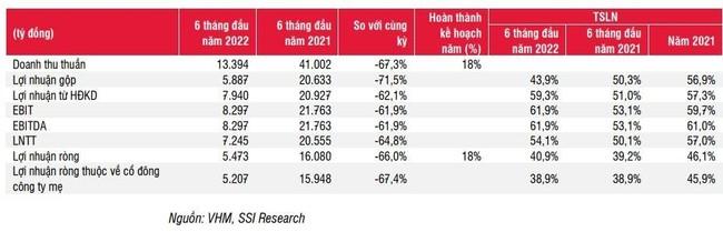 SSI Research: Hơn 80% doanh thu và lợi nhuận của Vinhomes sẽ rơi vào 6 tháng cuối năm - Ảnh 1. SSI Research: Hơn 80% doanh thu và lợi nhuận của Vinhomes sẽ rơi vào 6 tháng cuối năm - Ảnh 1.