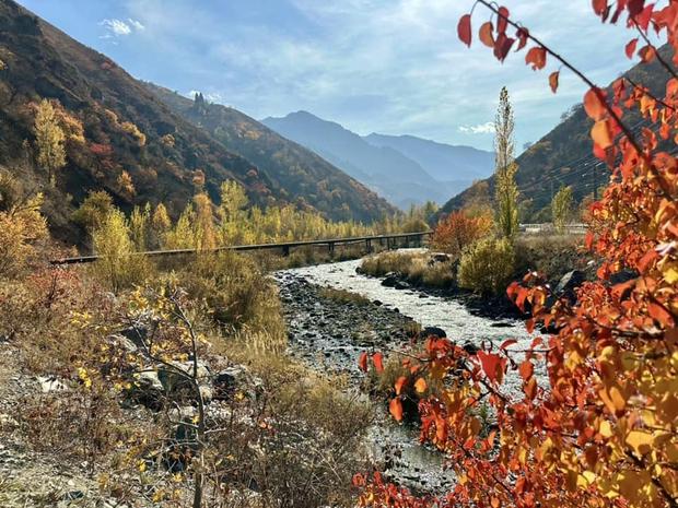 Theo chân du khách Việt ngắm thu vàng trên con đường tơ lụa từ Kazakhstan đến Kyrgyzstan - Ảnh 6.