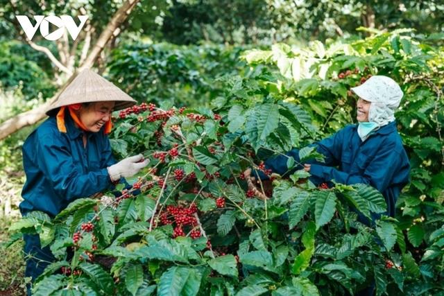 Rào cản từ EVFTA - Động lực đưa Việt Nam hòa nhập “sân chơi” EU - Ảnh 2.